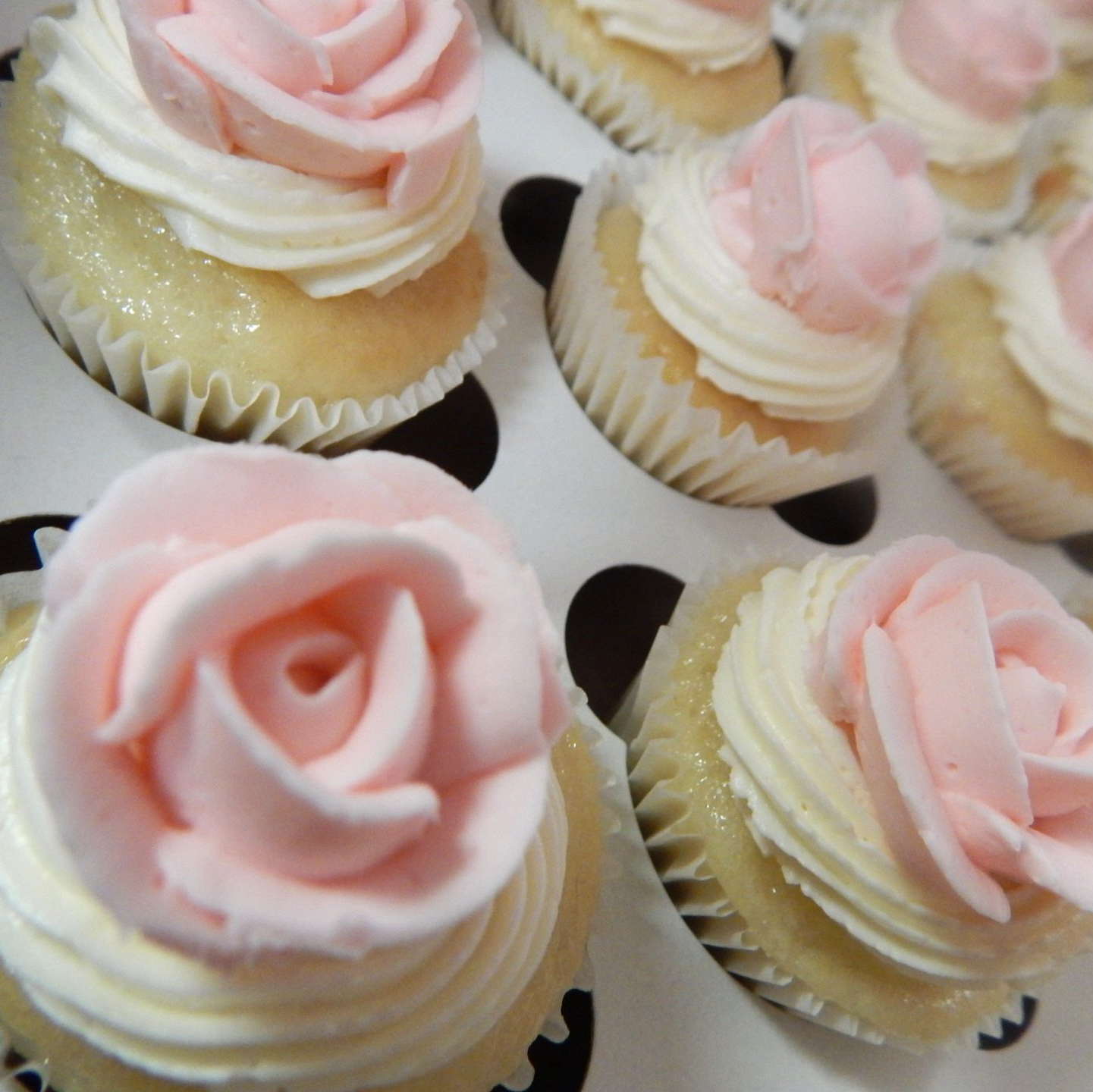Cupcakes topped with white and pink icing roses