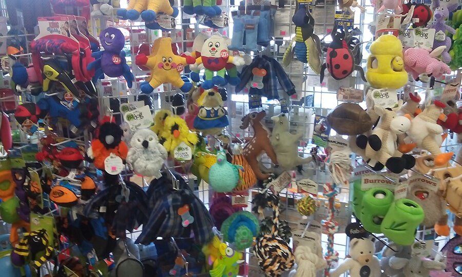 Gallery Garden Grove, CA Collar & Leash Pet Shop