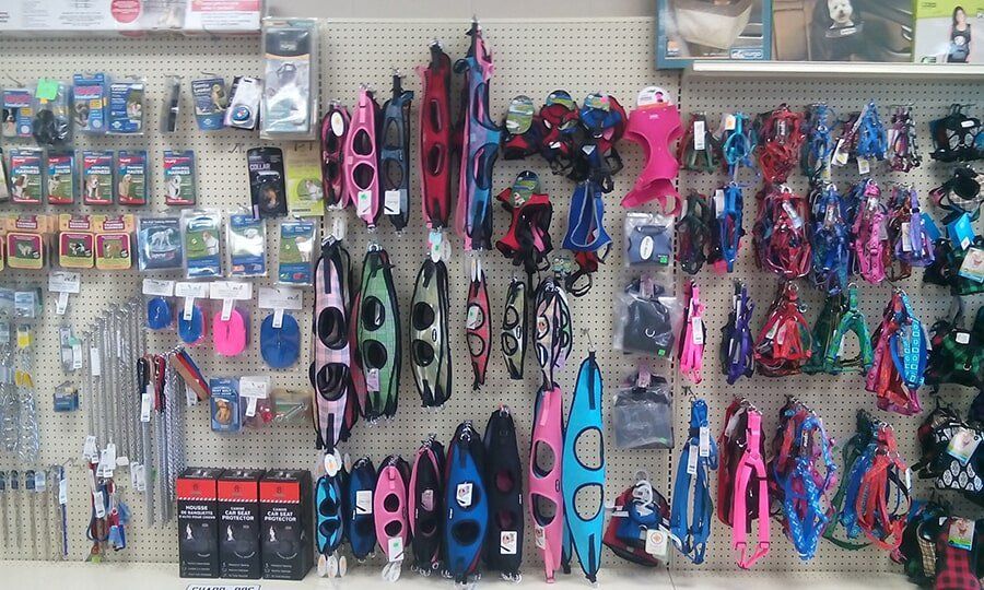 Gallery Garden Grove, CA Collar & Leash Pet Shop