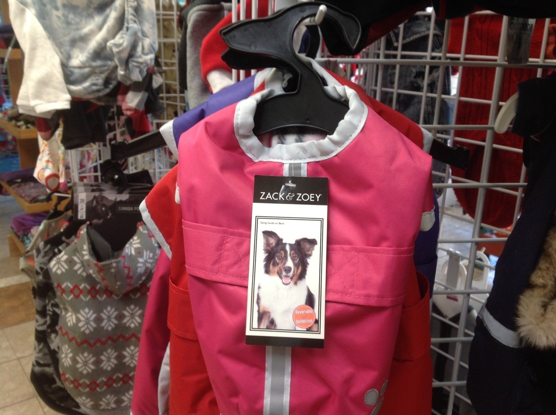 Gallery Garden Grove, CA Collar & Leash Pet Shop