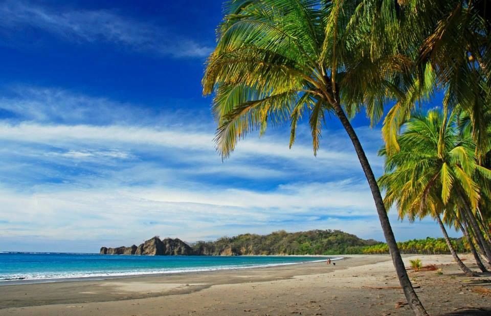 Tropical beach with palm trees, blue sky, and ocean waves.