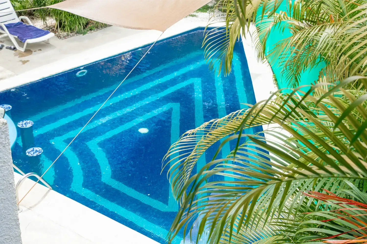 Blue tiled pool with steps, palm fronds, and a lounge chair.