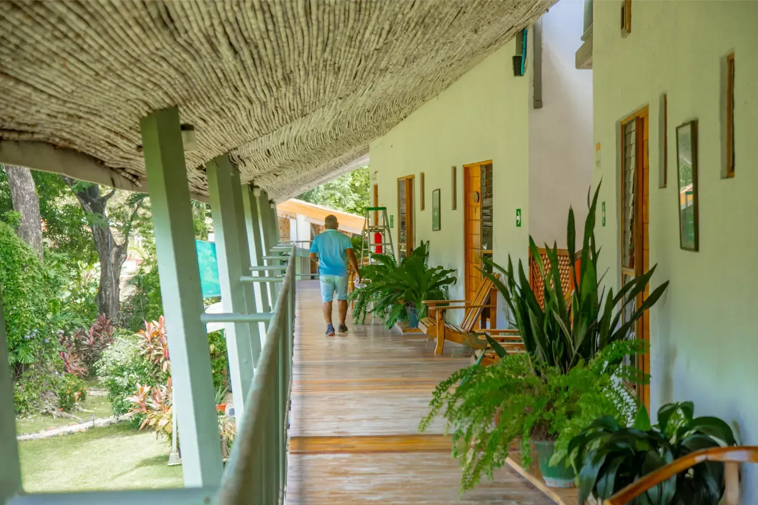 Man walking down a hallway with plants, white walls, and a textured ceiling.