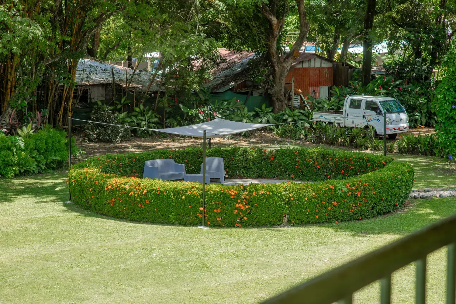 Lush green garden with circular hedge around a seating area with an umbrella; a white truck sits in the background.