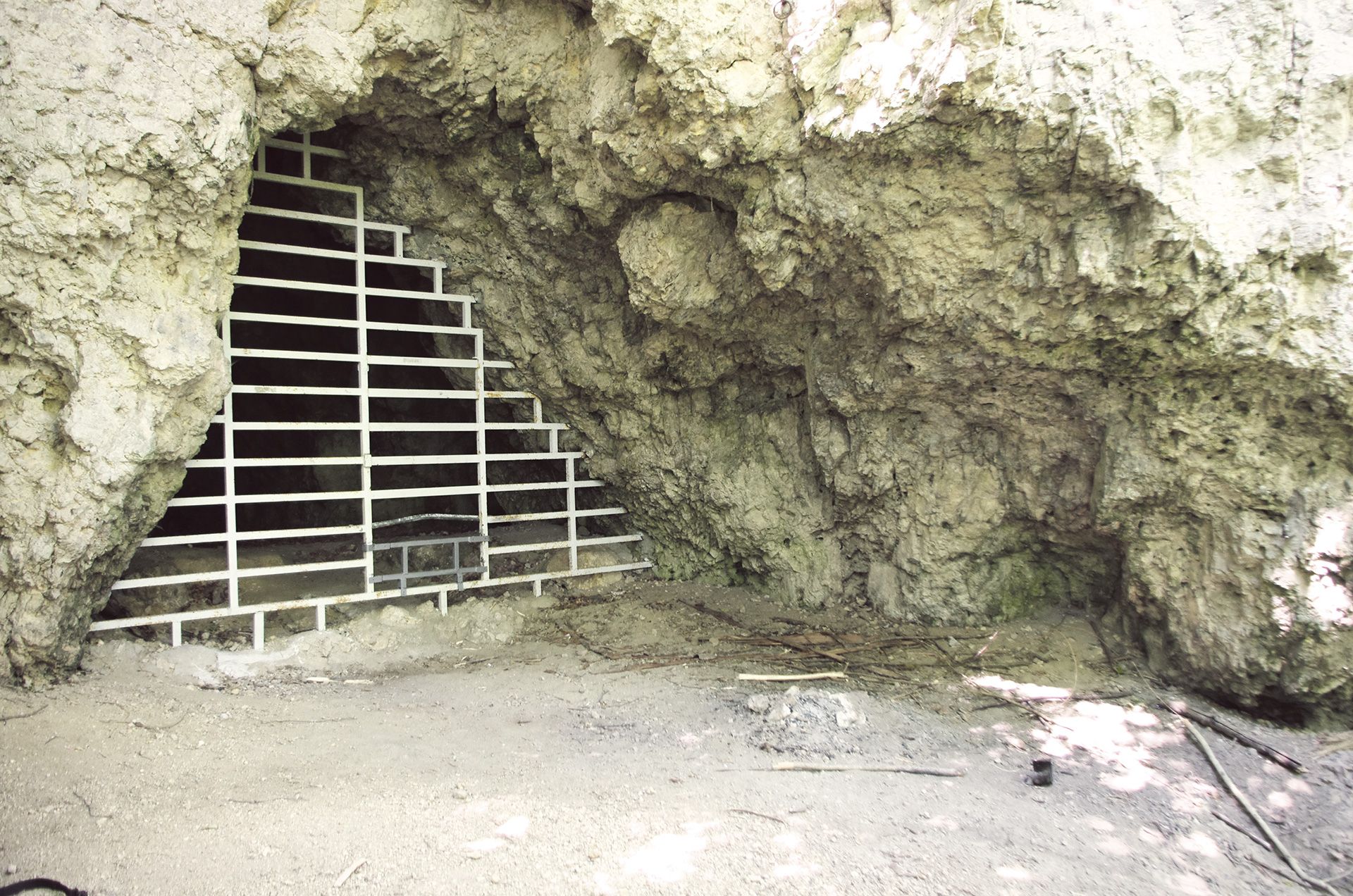 Fledermaus-Höhleneingang