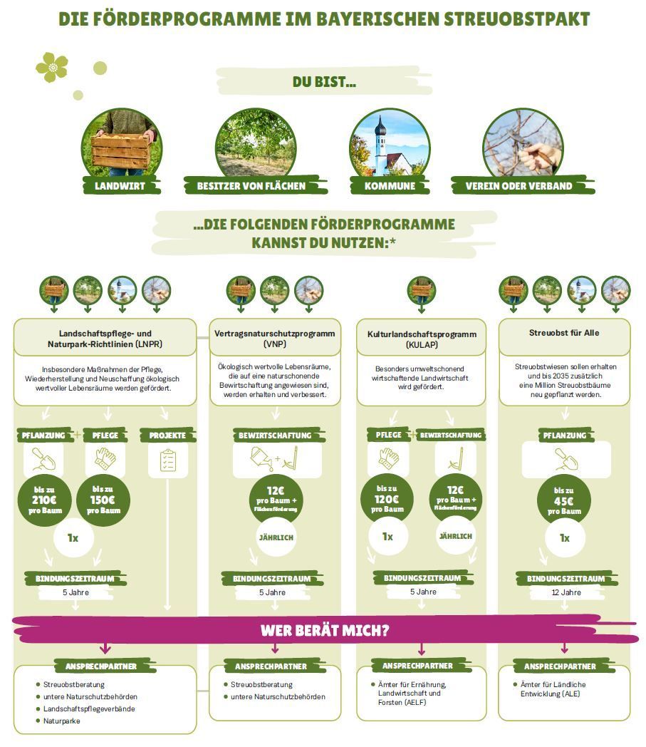 Förderprogramme Streuobstwiese