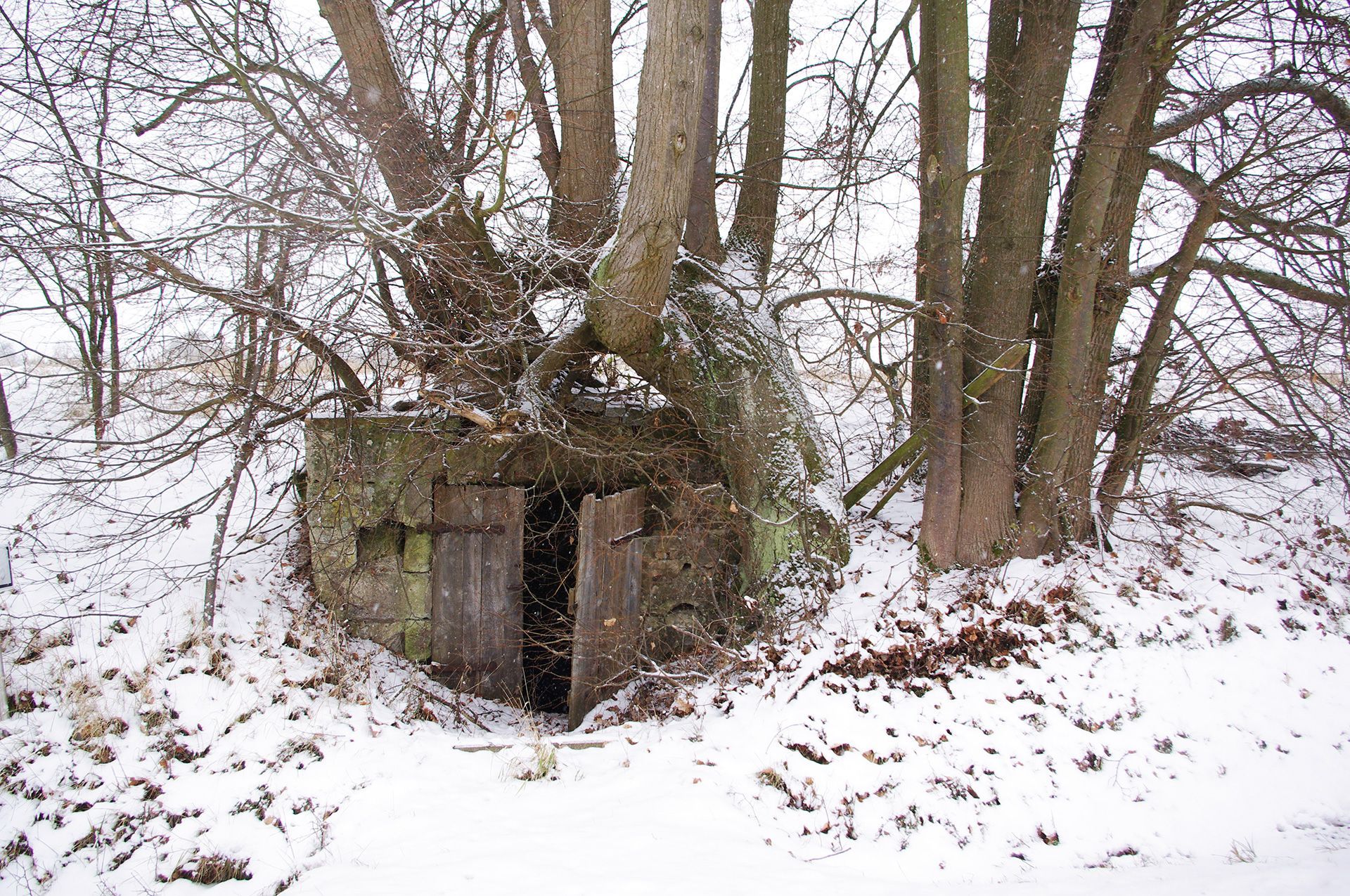 Keller und Höhlen im Landkreis Forchheim