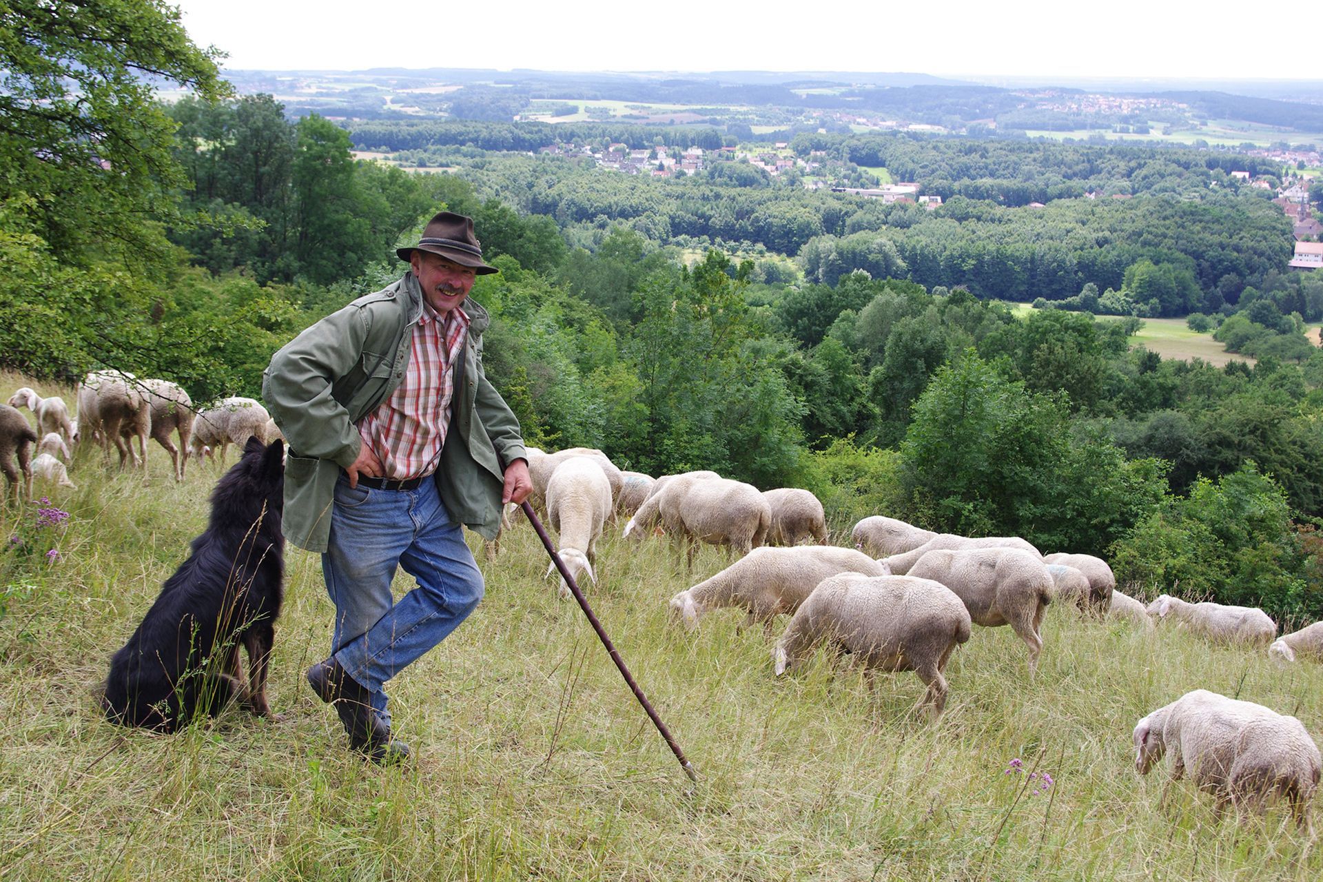 Schäfer Distler am Walberla