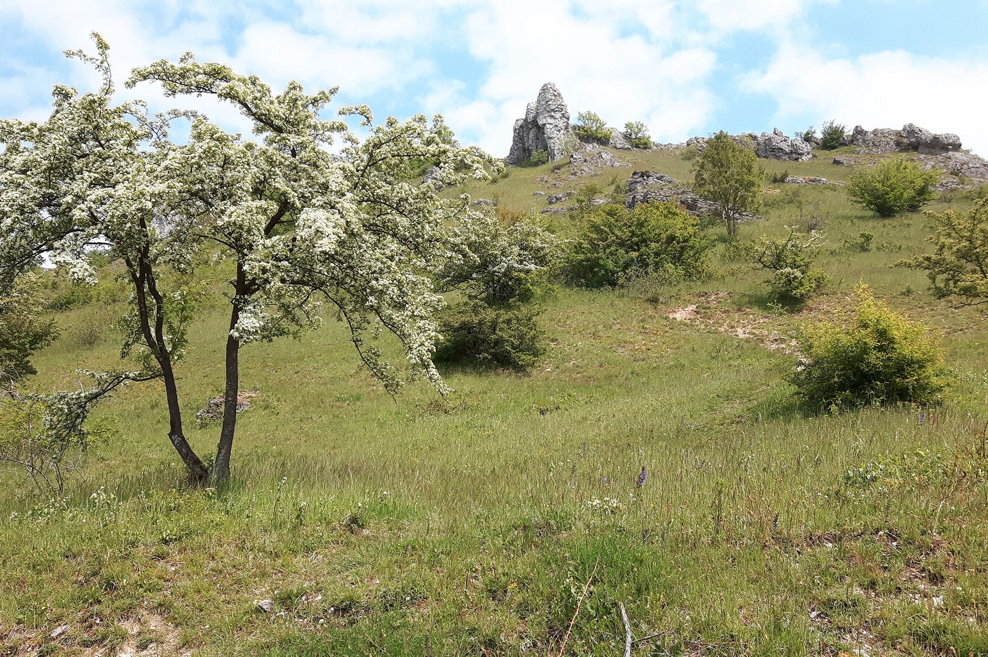 Schutzgebiete Biodiversität