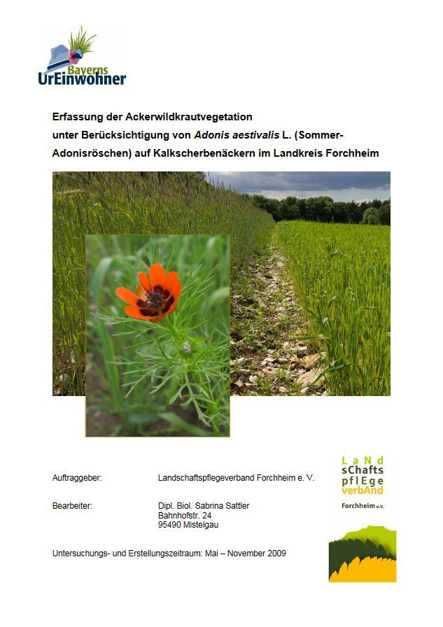 Erfassung der Ackerwildkrautvegetation im Landkreis Forchheim