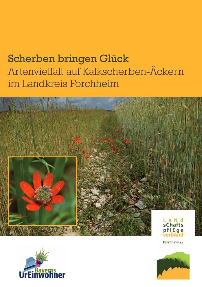 Artenvielfalt auf Kalkscherben-Äckern Broschüre