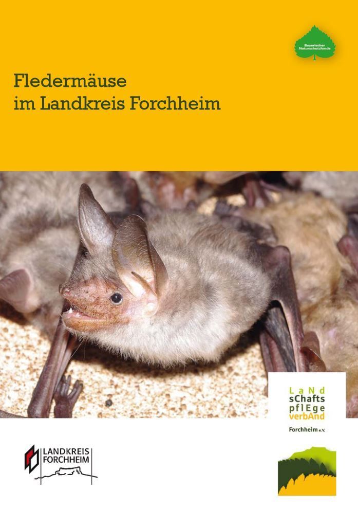 Fledermäuse im Landkreis Forchheim