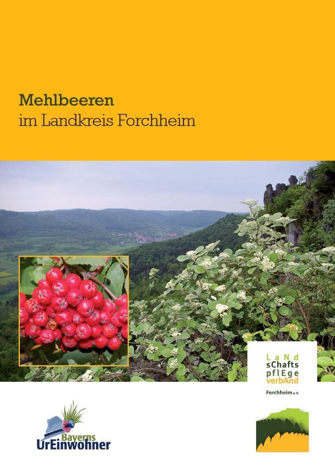 Mehlbeeren im Landkreis Forchheim Broschüre