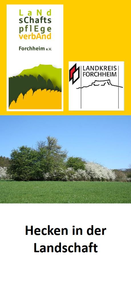Hecken in der Landschaft und als wichtiger Lebensraum