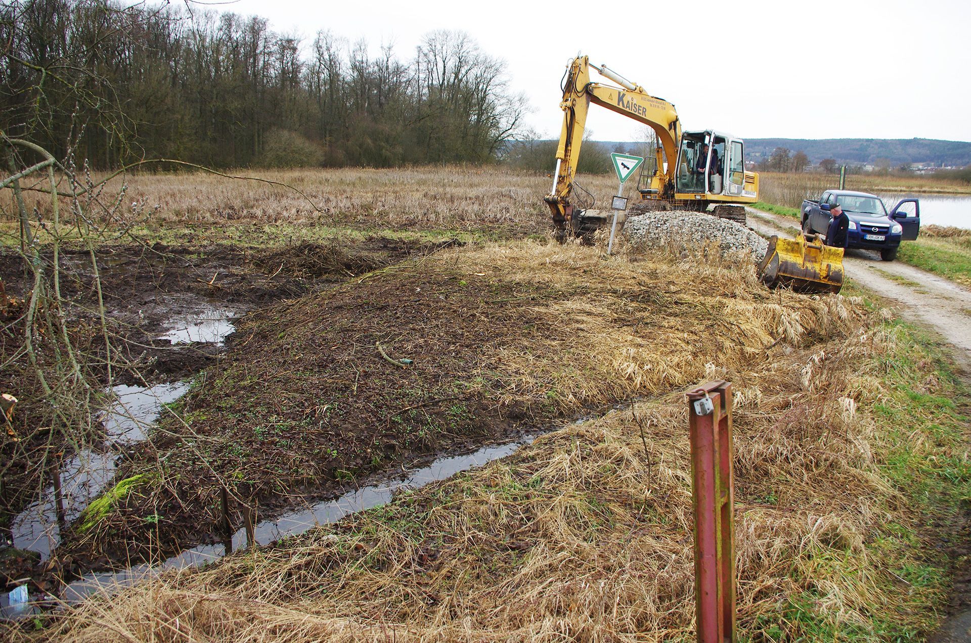 Verlandete Weiher im Landkreis Forchheim