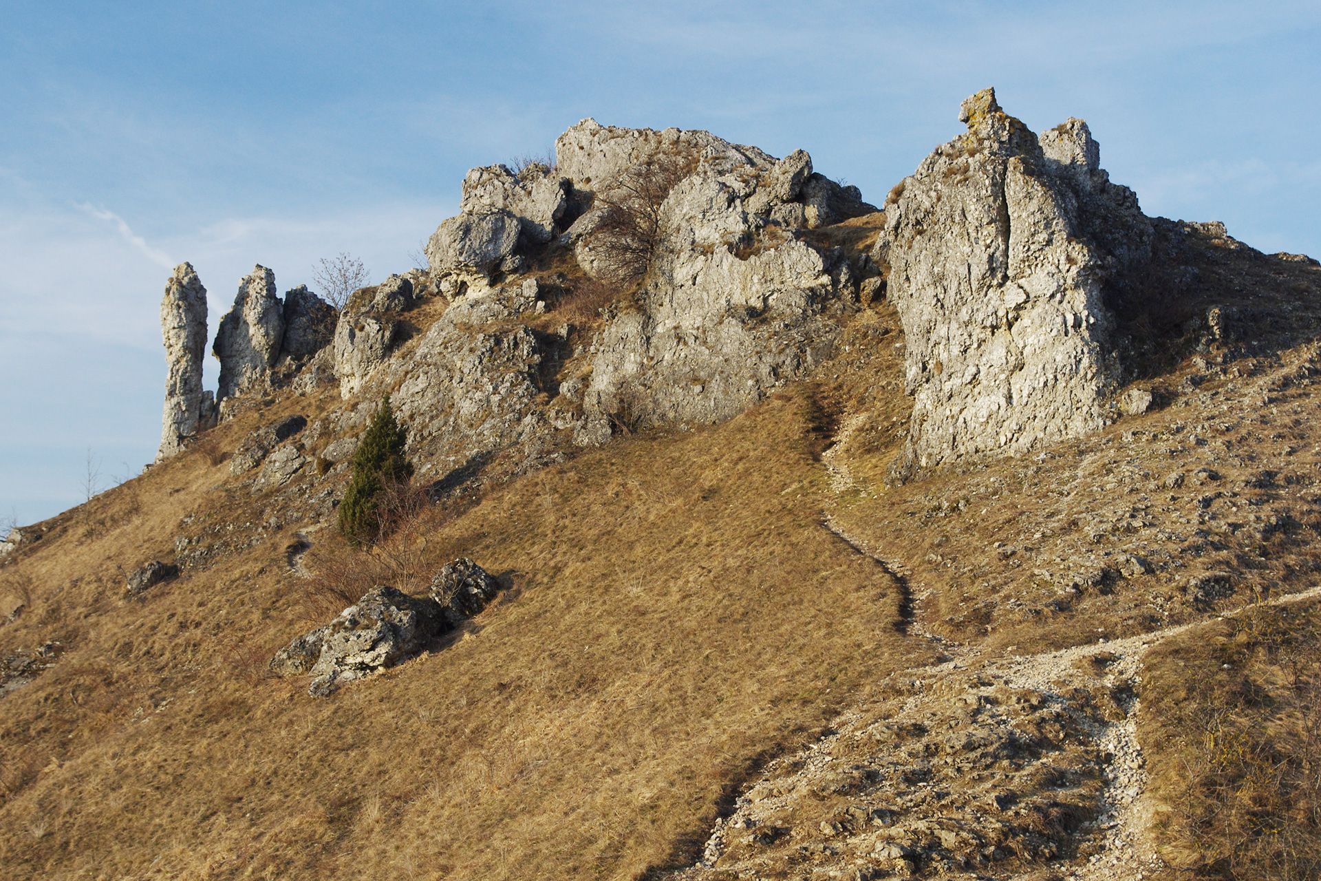 Kalkmagerrasen und Felsen Walberla