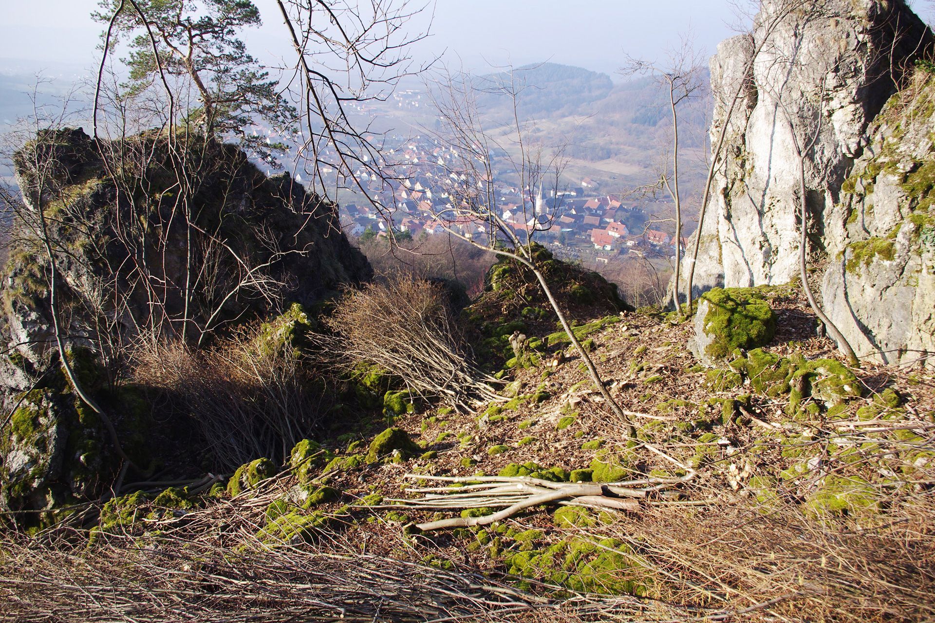 Kalkmagerrasen und Felsen am Walberla