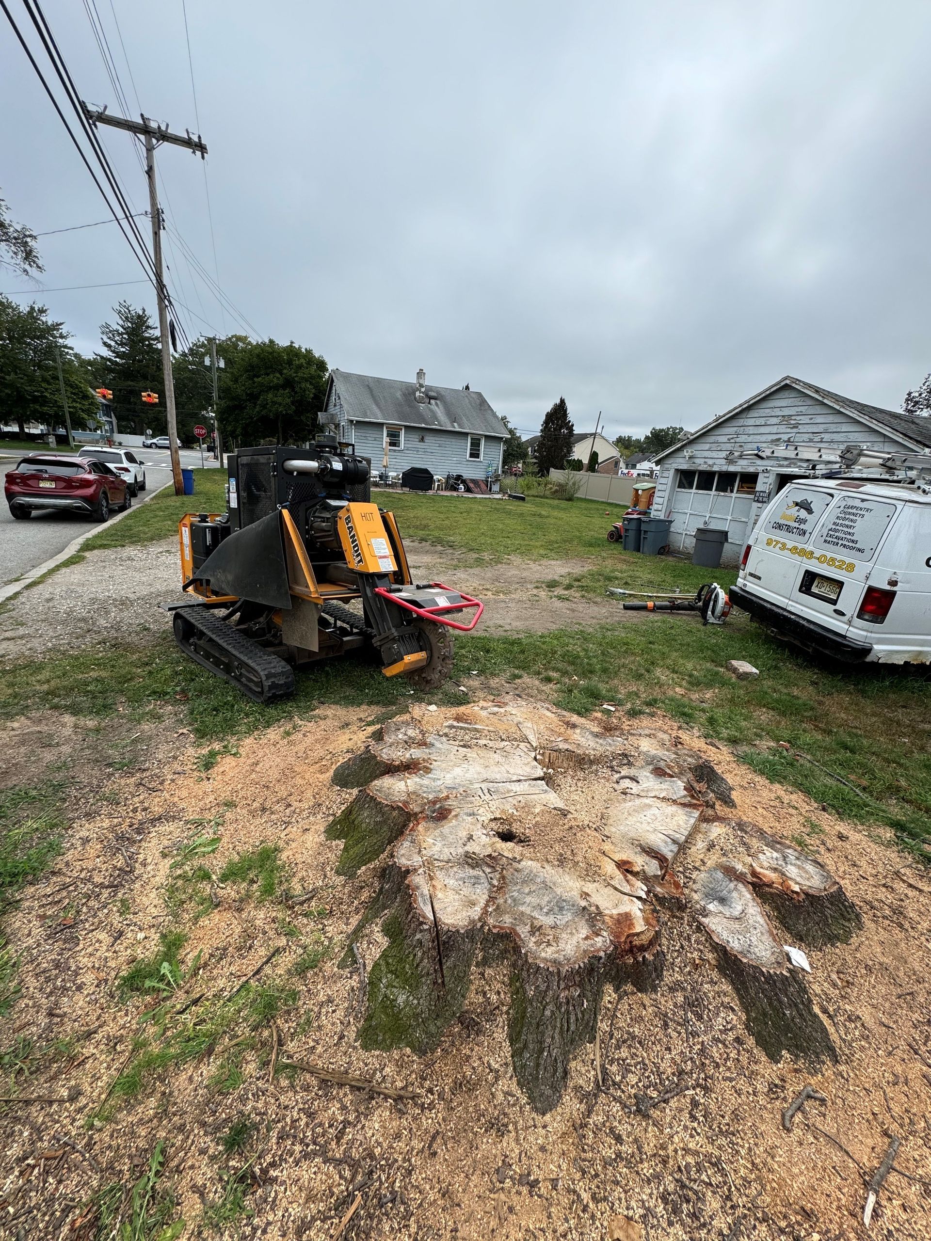 A large piece of wood is sitting on top of a tree stump.