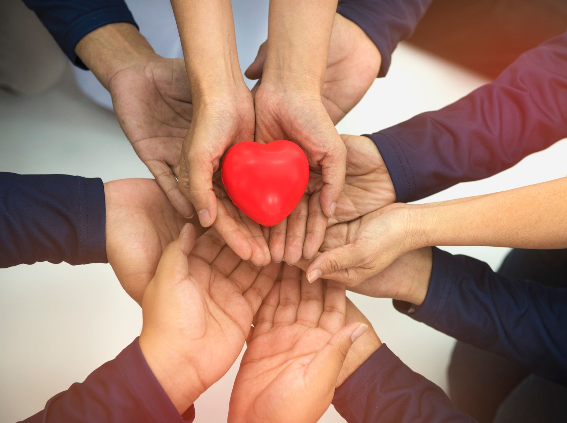 A group of people are holding a red heart in their hands.