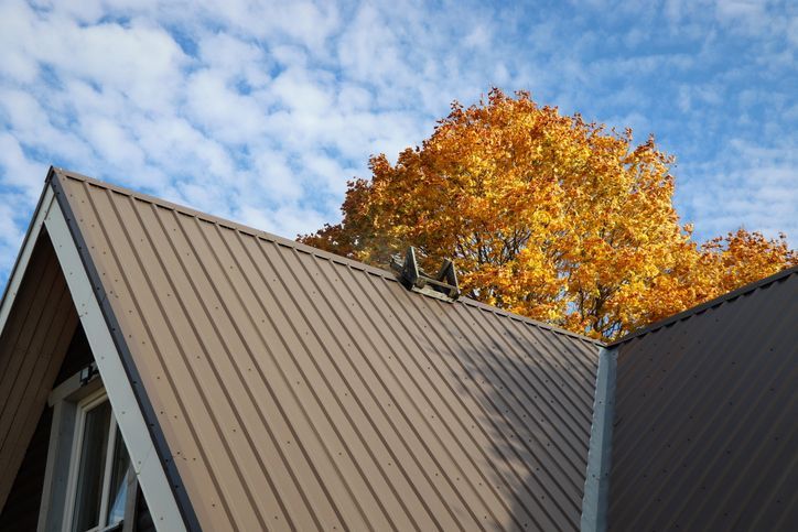 Brown metalic roof house under the autmn tree against blue sk