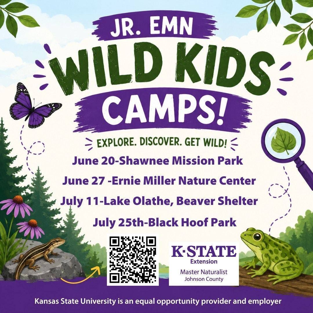 Johnson County K-State Extension Junior Master Naturalist Camp Flyer with green forest background with a lizard and frog
