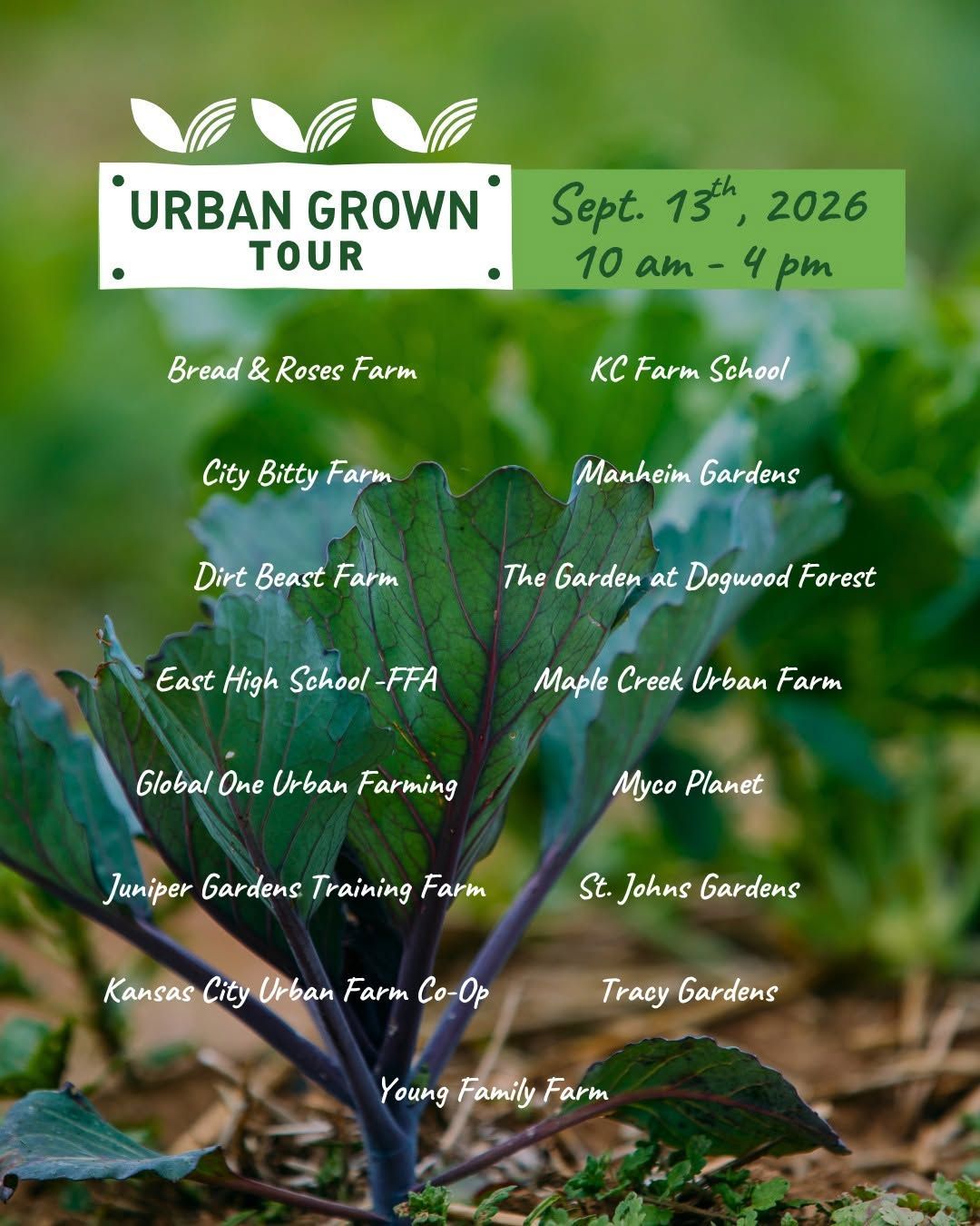 A picture of green lettuce in soil with white text over the graphic