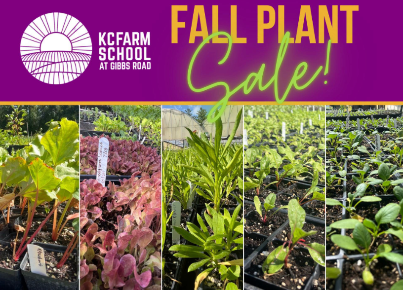 Multiple images of green produce and plants to be sold 
