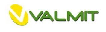 Valmit logo