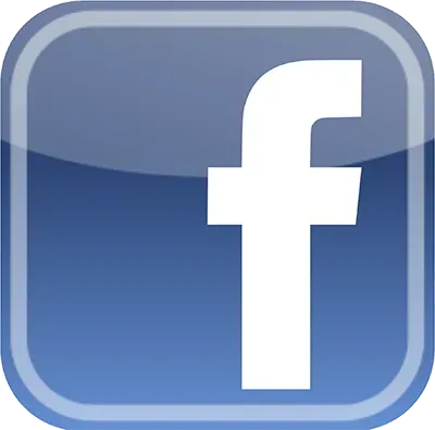 Facebook logo: White 