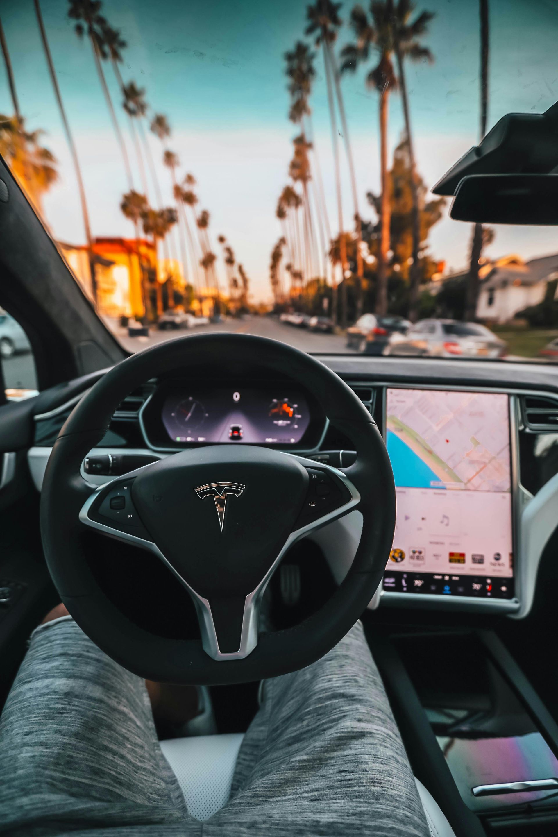 A person inside a Tesla, driving down a palm tree-lined street at sunset.  The car's dashboard and road ahead are visible.