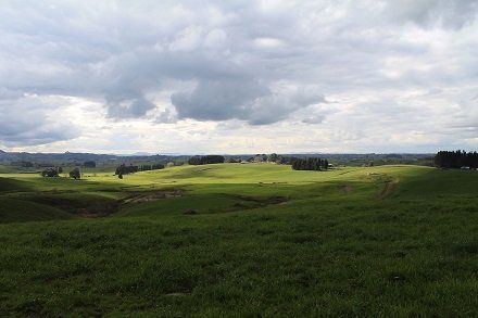 Hamilton North Business for sale