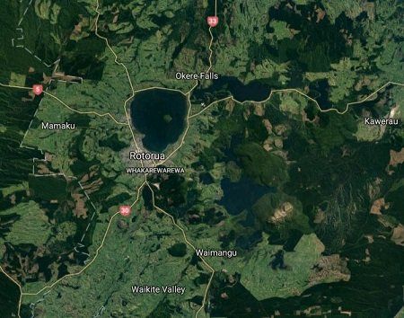 Rotorua Business for Sale