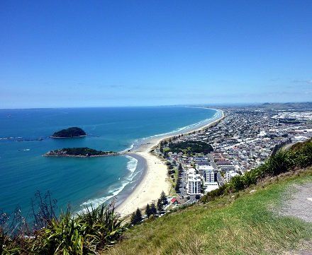 Tauranga Business For Sale Page
