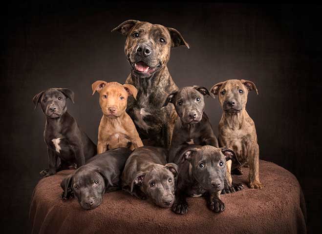 Shop for QSAR rescue merchandise