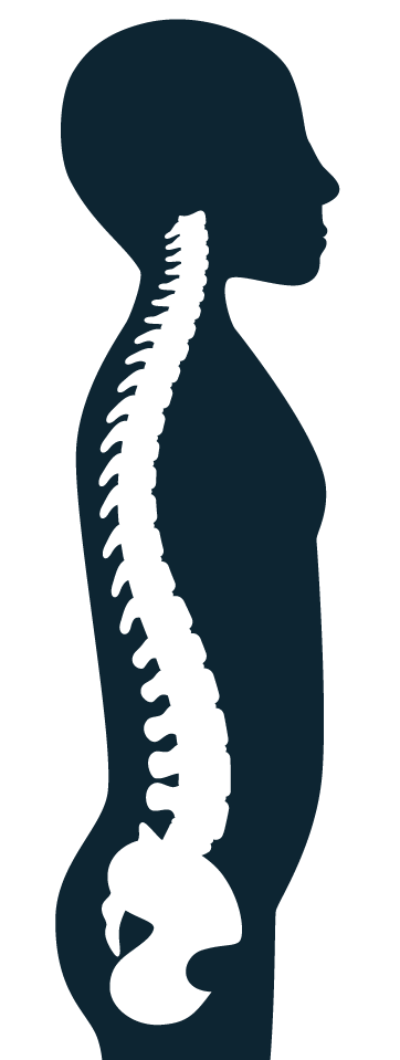 Human Body and Spinal Cord Silhouette — Ardmore, OK — The Specialty Clinic of Southern Oklahoma