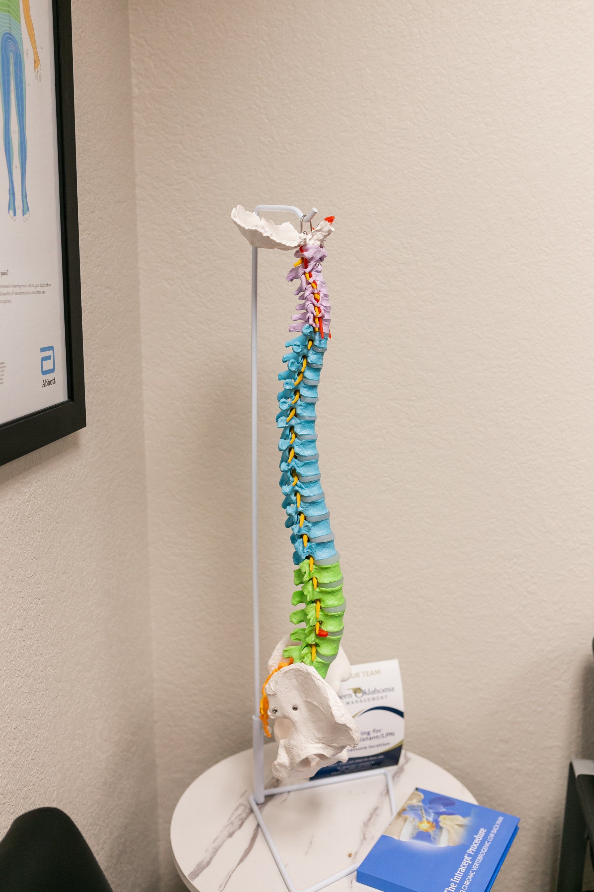 Spinal Cord Structure - Specialty Clinic of Southern Oklahoma