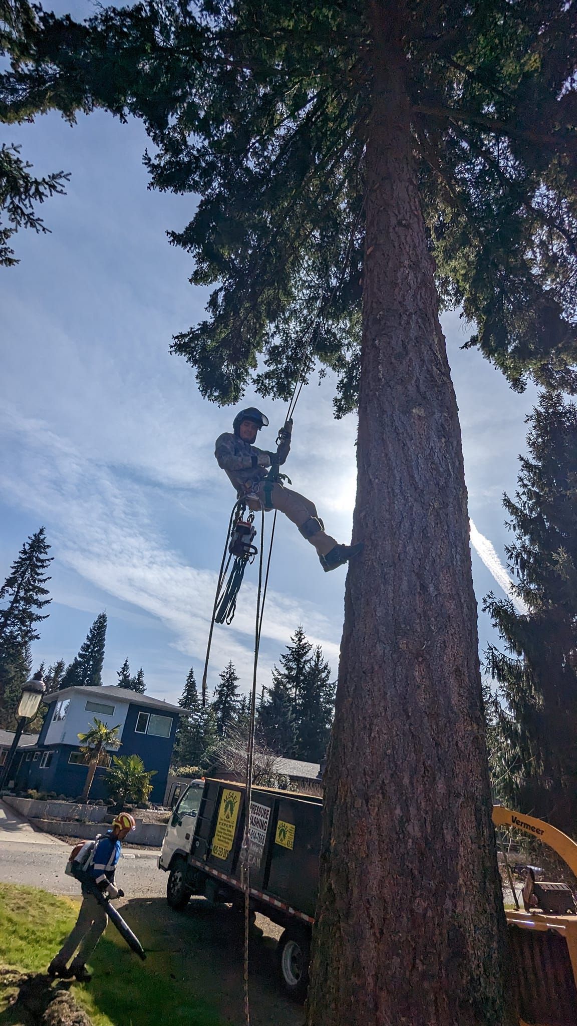 Tree worker in a lift trimming a tall evergreen beside a parked truck and equipment.