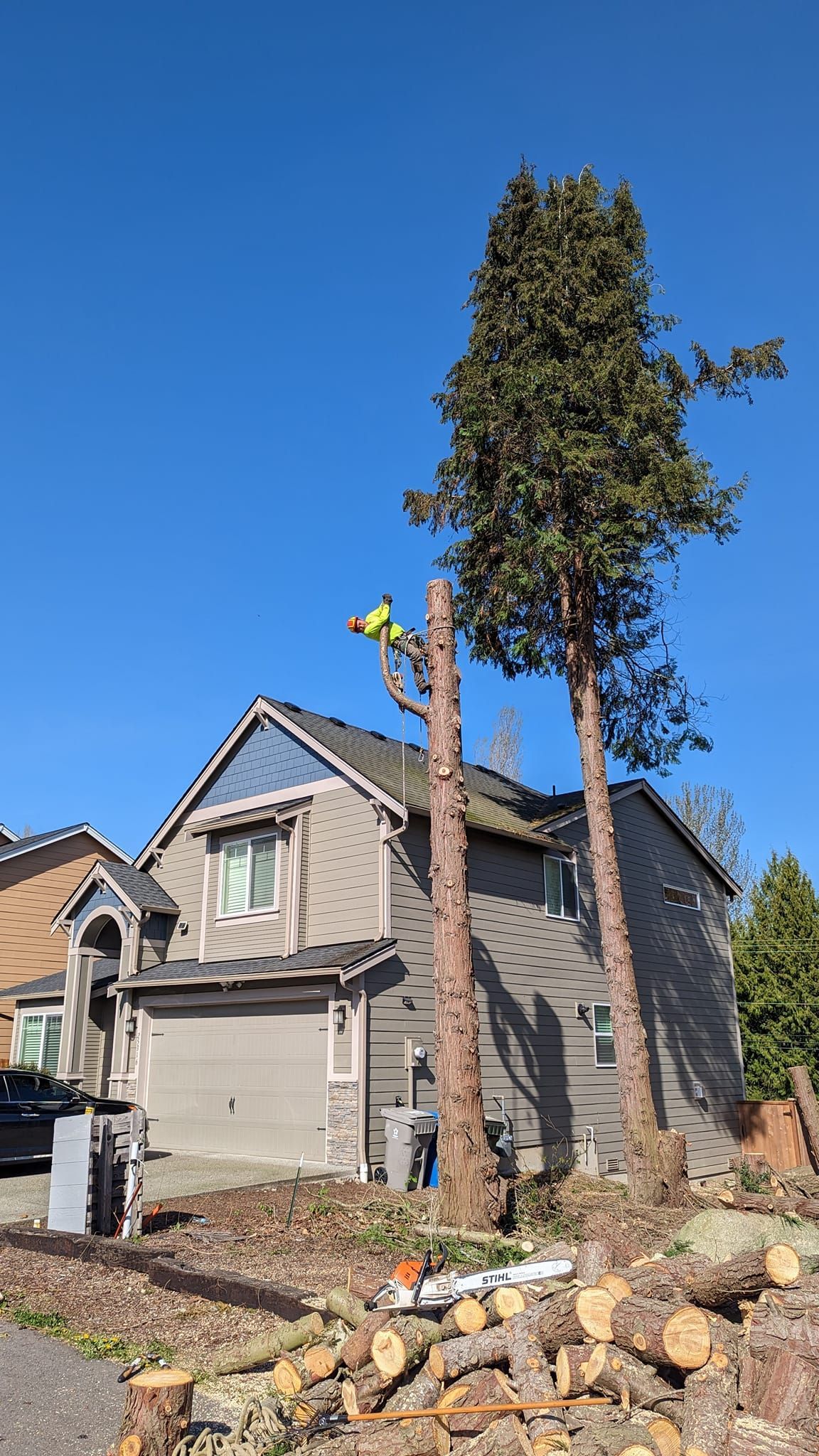 Suburban house with a tall tree being cut down and stacked logs in the front yard