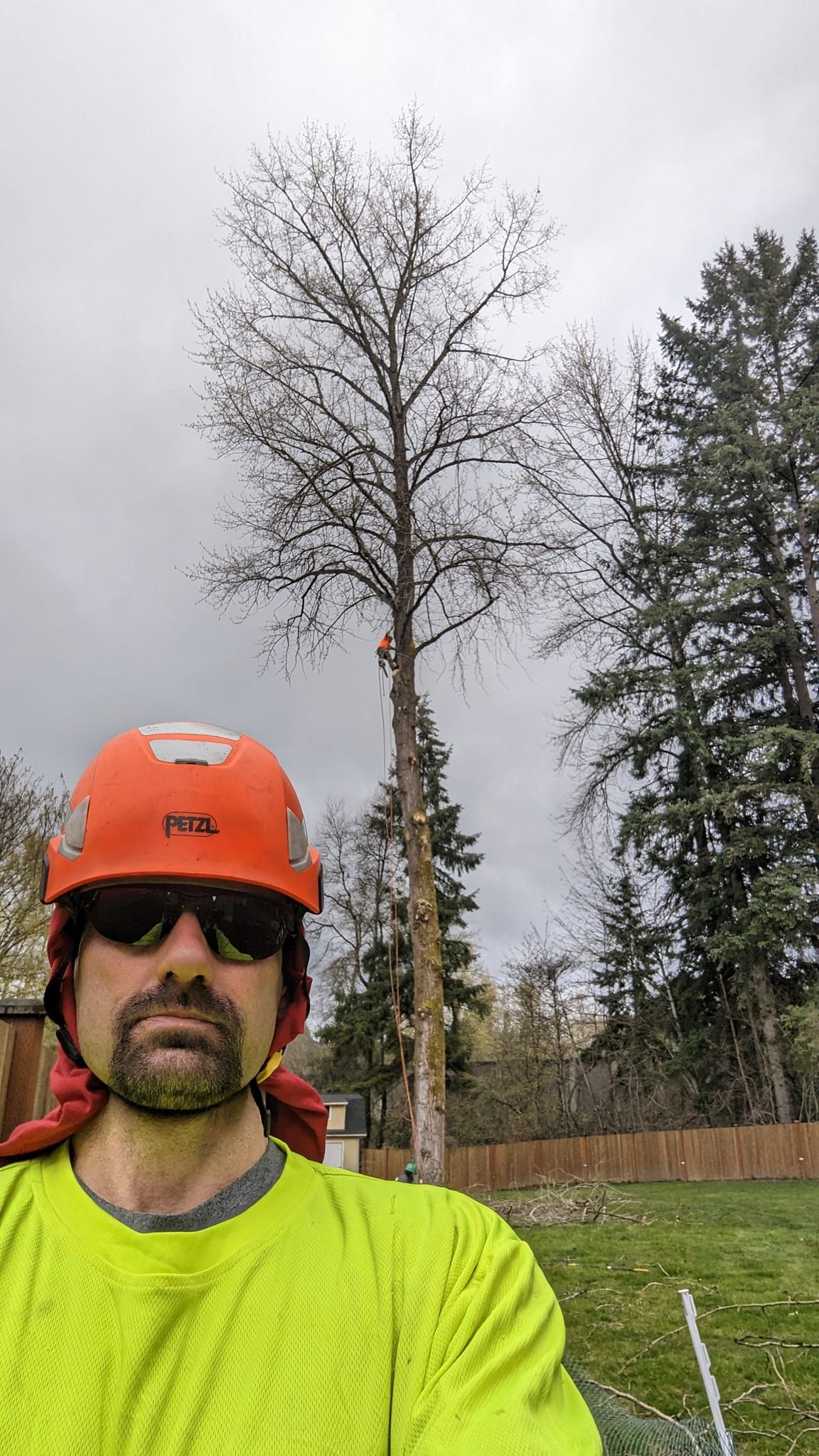 Man wearing orange hard hat and neon shirt in a grassy yard with a tall tree and overcast sky behind him