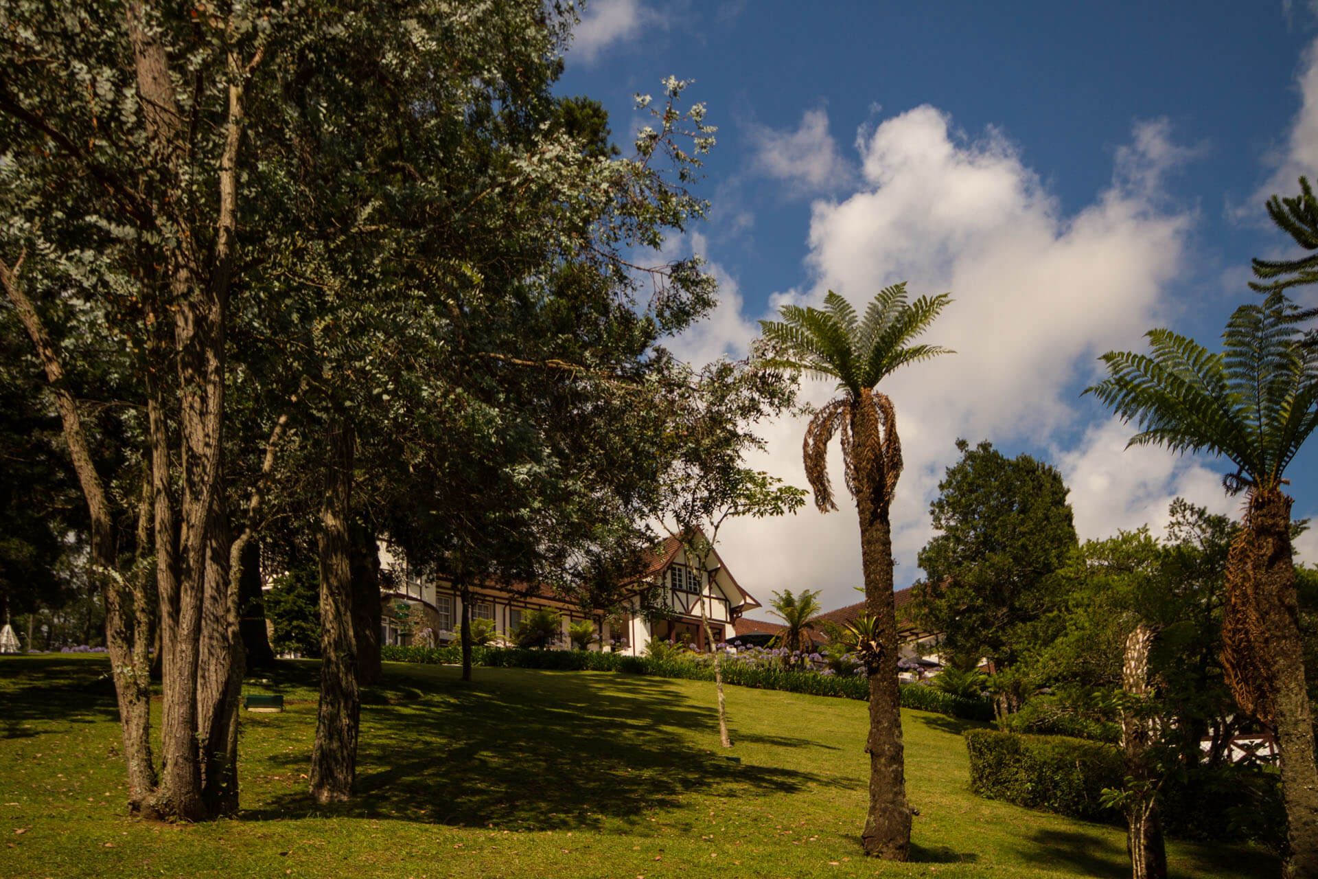 Hotel Vila Inglesa com árvores