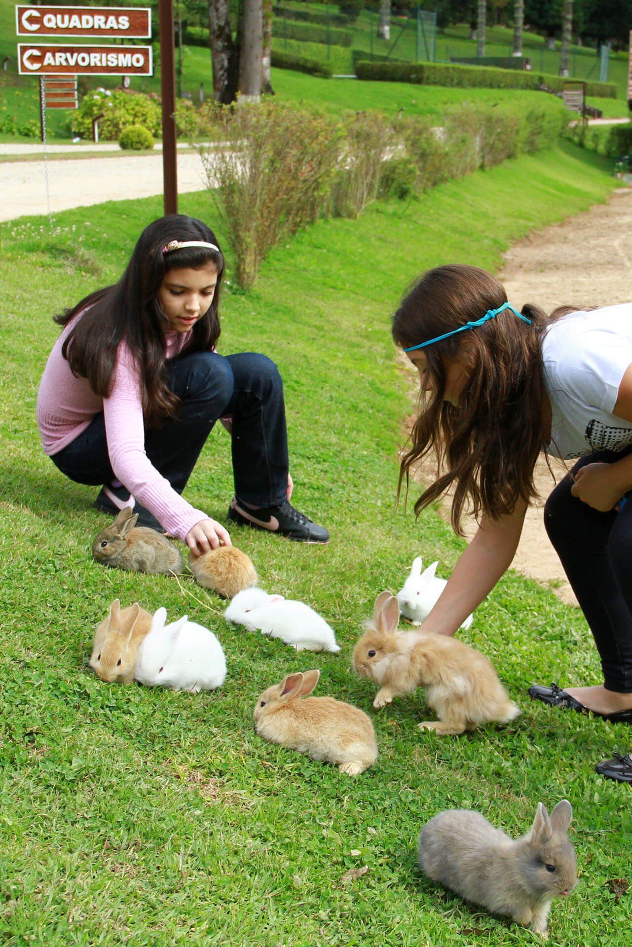 crianças brincando com coelhos