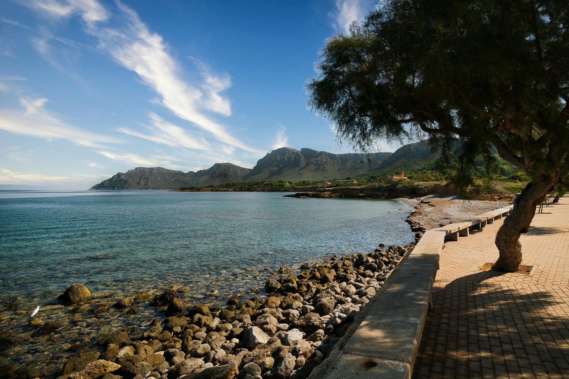 Seascape with clear blue water, rocky shore, and mountains under a blue sky, with a tree in the corner.
