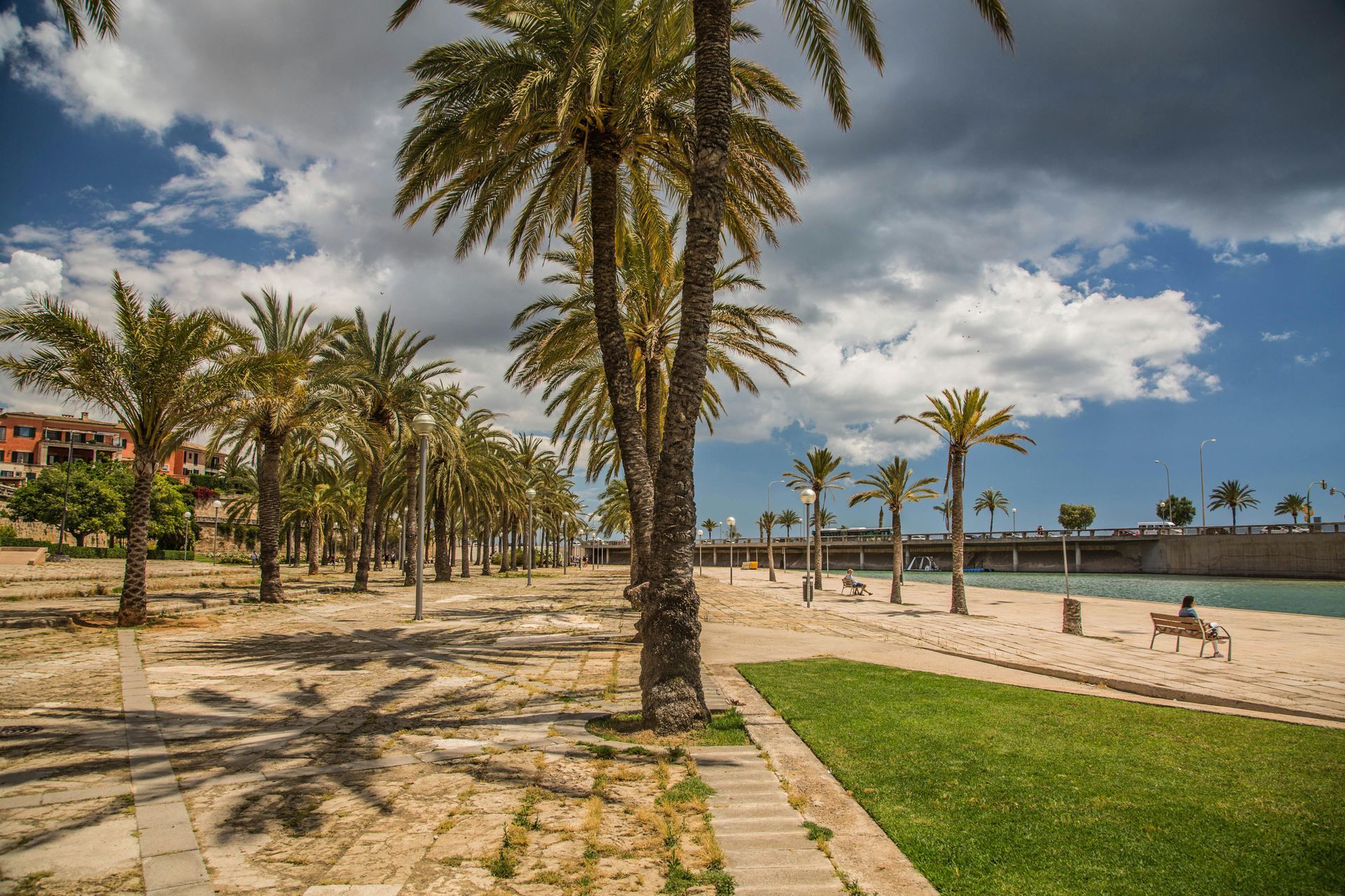 Palm trees line a sunny coastal path with brick paving. Blue water and sky, few people.
