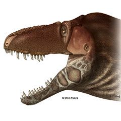 Final rendering of Daspletosaurus horneri. © Dino Pulerà