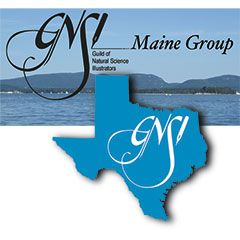 GNSI Group Logos - Maine, Texas
