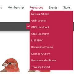 Screenshot of new GNSI website homepage with drop-down menus.