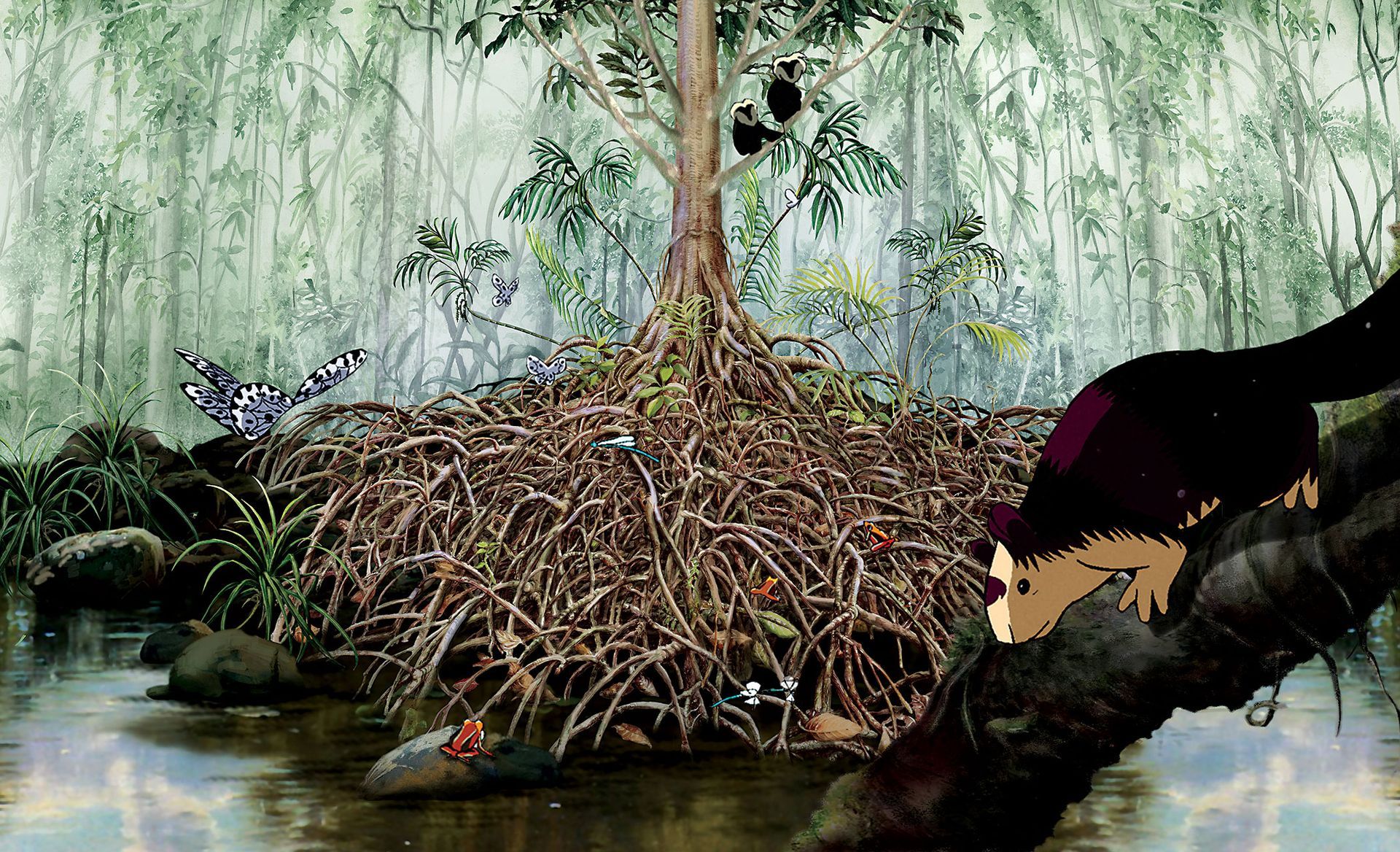 A still from Spirit of the Forest showing a Muistica Fatua tree along with endemic fauna like the Malabar giant squirrel, lion-tailed macaque, Myistica swamp tree frog, Myistica sapphire damselfly and Malabar tree nymph butterfly.