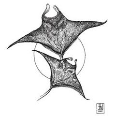 Manta rays; pen and ink on canvas. © 2019 Jahne Hope-Williams