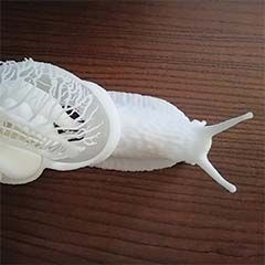 3d_printed_snail ©2023 Mieke Roth