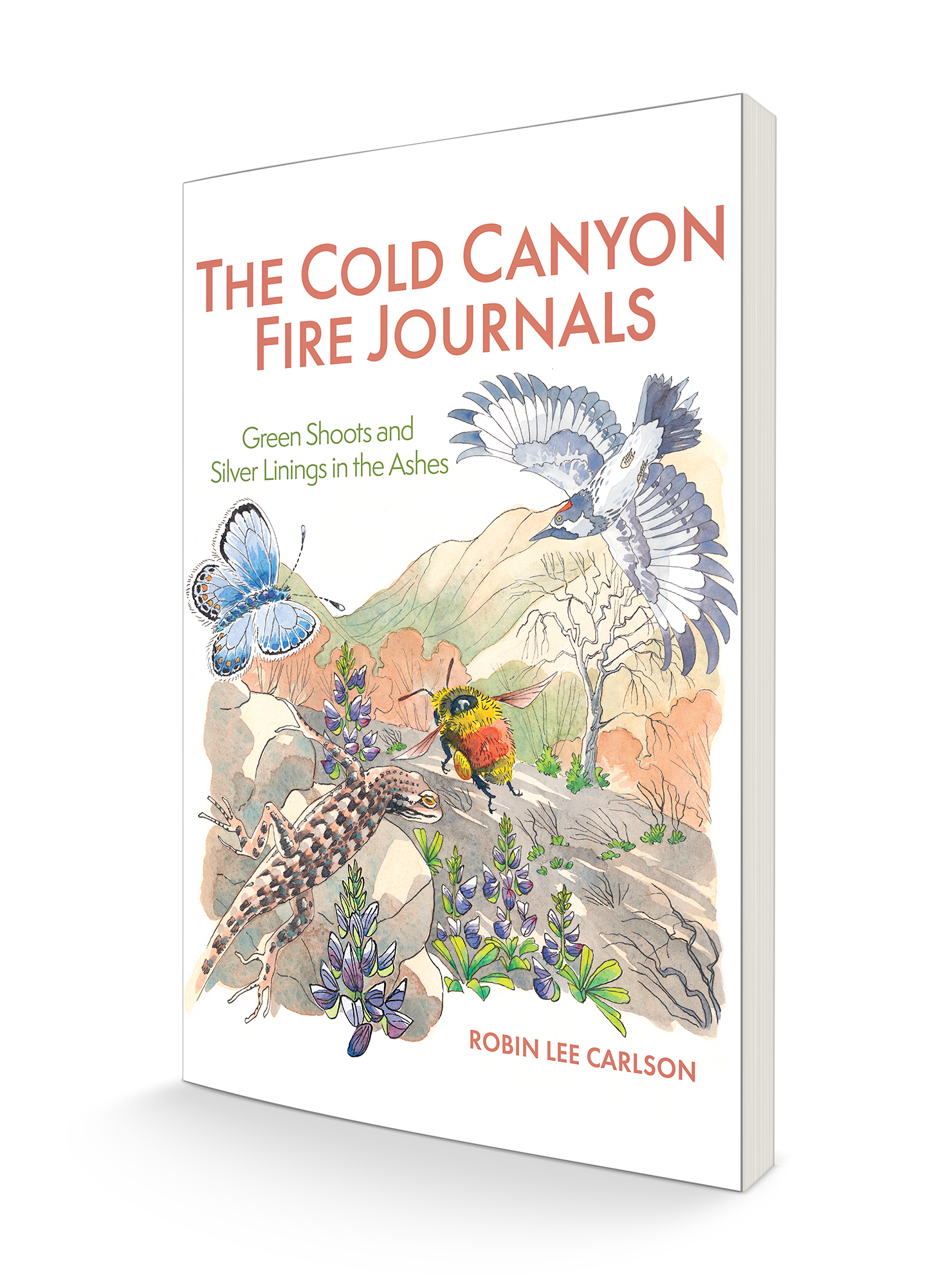 Book Cover: The Cold Canyon Fire Journals by Robin Lee Carlson